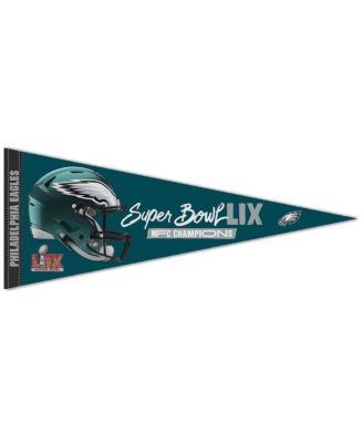 Wincraft - Philadelphia Eagles 2024 NFC s 12" x 30" Premium Pennant