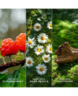 Daisy Love Eau de Toilette Spray, 5 oz.