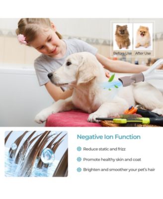 Dog Cat Hair Blower with Negative Ion Function and Adjustable Temperature