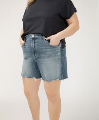 Plus Size Highly Desirable High Rise Shorts