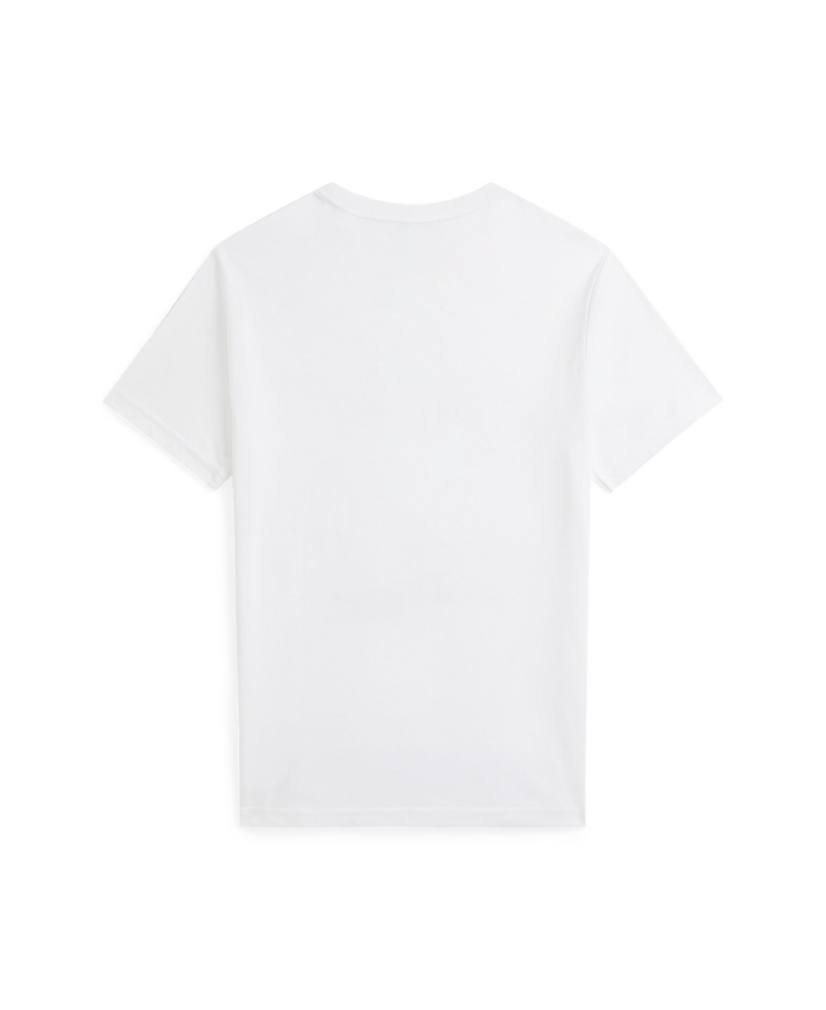Polo Ralph Lauren Kids T-shirt In White Bear