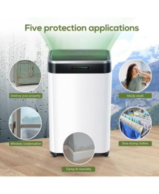 45Pints/Day Dehumidifier for Home, Basement & Garage, Low Noise, 6500ML Water Tank, Auto Drain Hose, Intelligent Humidity Control