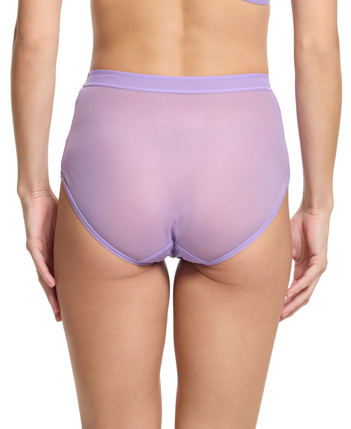 Hanky Panky Mesh High Cut French Brief In Grape Juice Purple