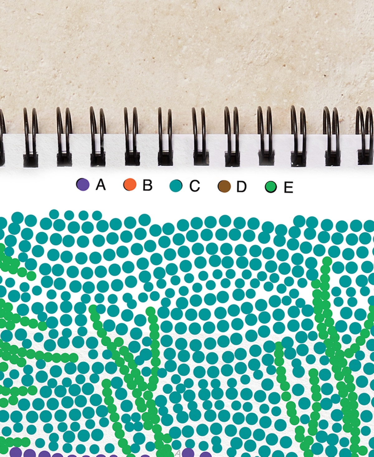 Lifelines Flowart Dot-by-letter Art Kit In Multi