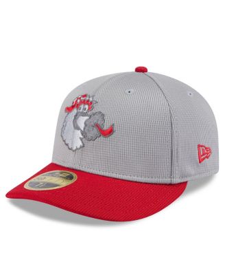New Era - Men's Gray/Red Philadelphia Phillies 2025 Batting Practice Low 59FIFTY Fitted Hat