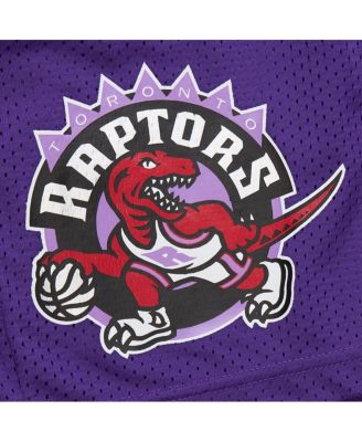 Men's Purple Toronto Raptors Hardwood Classics Gameday Mesh Shorts