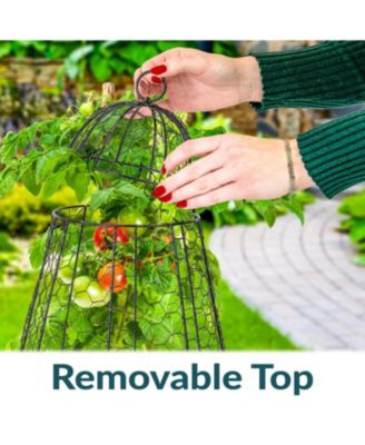 Chicken Wire Plant Protector Cage - Garden Cloche with Removable Cover - 6 Pack - Protects from Rabbits and Animals