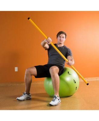 5 Pound Smart Stick for Balance, Alignment, and Range of Motion