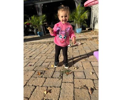 Toddler Girls Fleece Pullover Hoodie