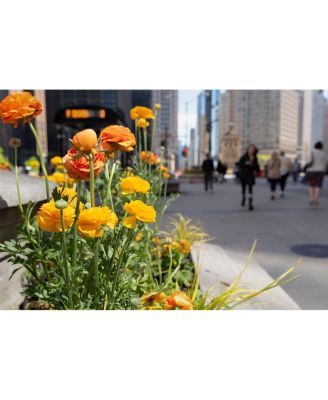 Sigma 28-45MM F1.8 DG DN ART Lens for Sony E