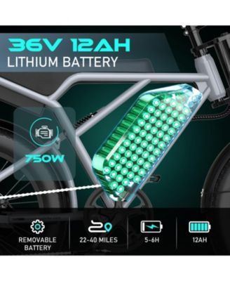 750W Electric Bike for Adults,20X4.0 Fat Tire Off-Road E bike,36V/12Ah Battery Snow Beach Mountain Bike for Outdoor Cycling e bike UL2849
