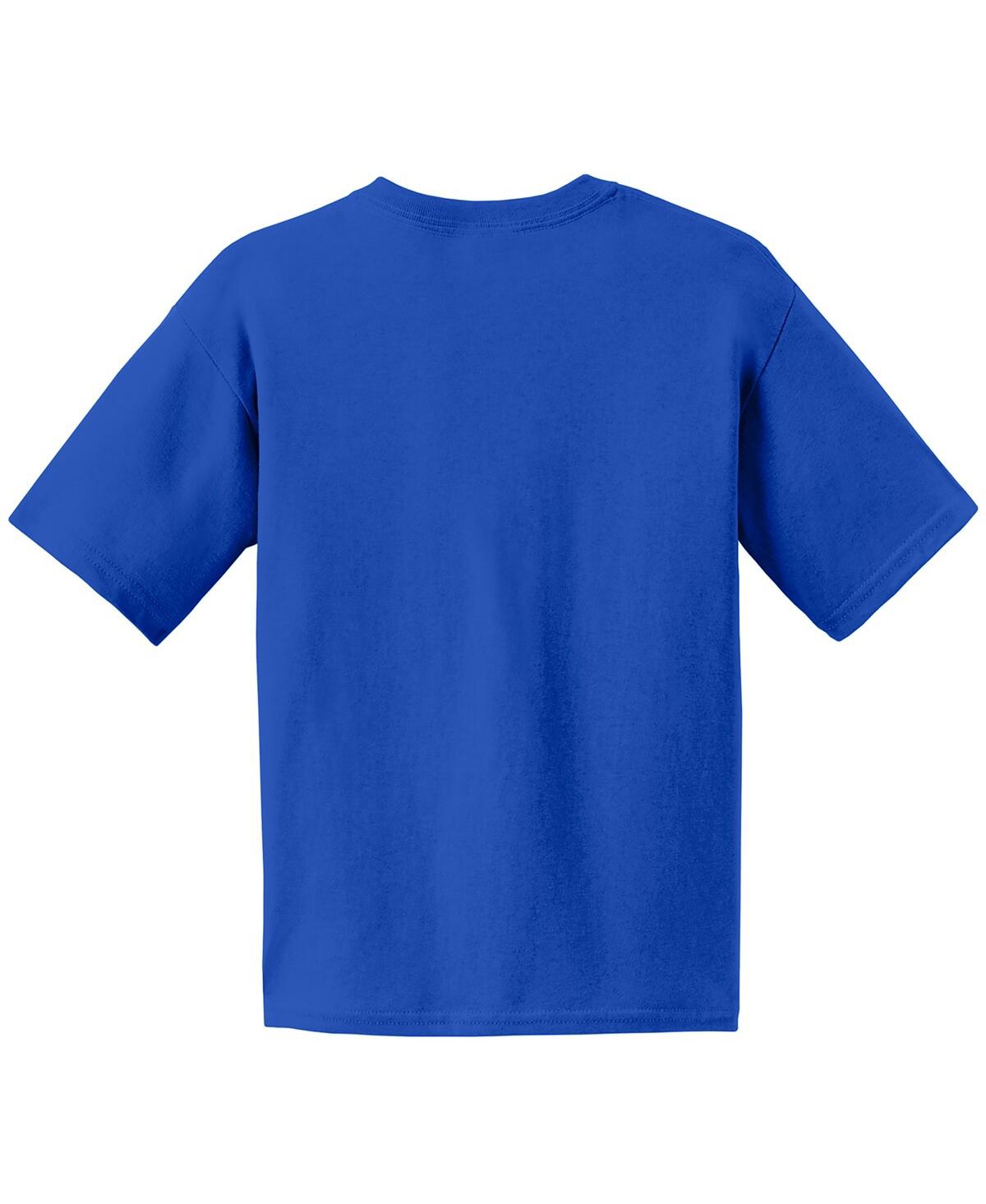 Hendrick Motorsports Team Collection Big Boys And Girls Royal Kyle Larson T-shirt In Royal
