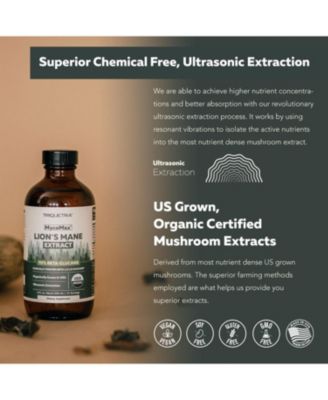 MycoMax Lion's Mane Extract Supplement - 70% Beta Glucans
