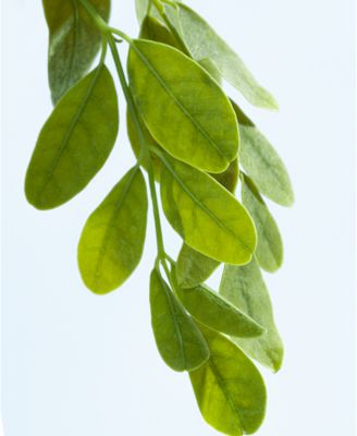 Color Protecting Conditioner, 10.1 oz.