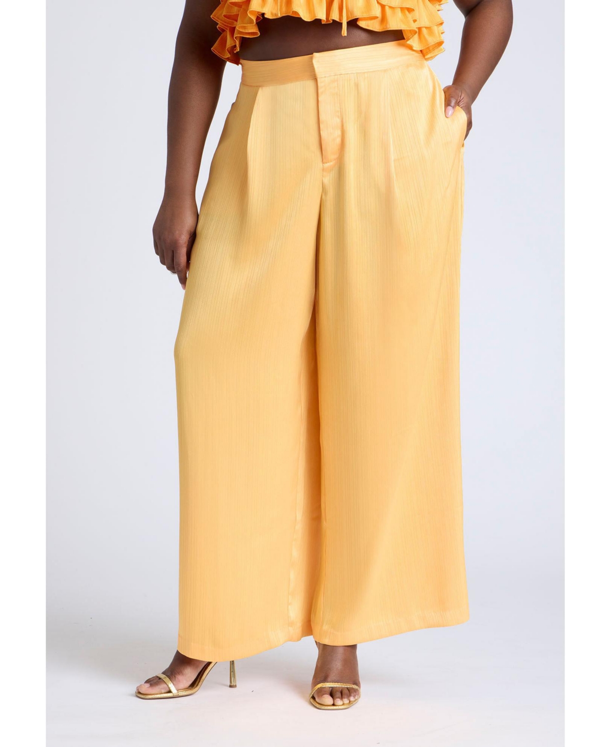 Plus Size Wide Leg Pant With Pleat - Dried apricot
