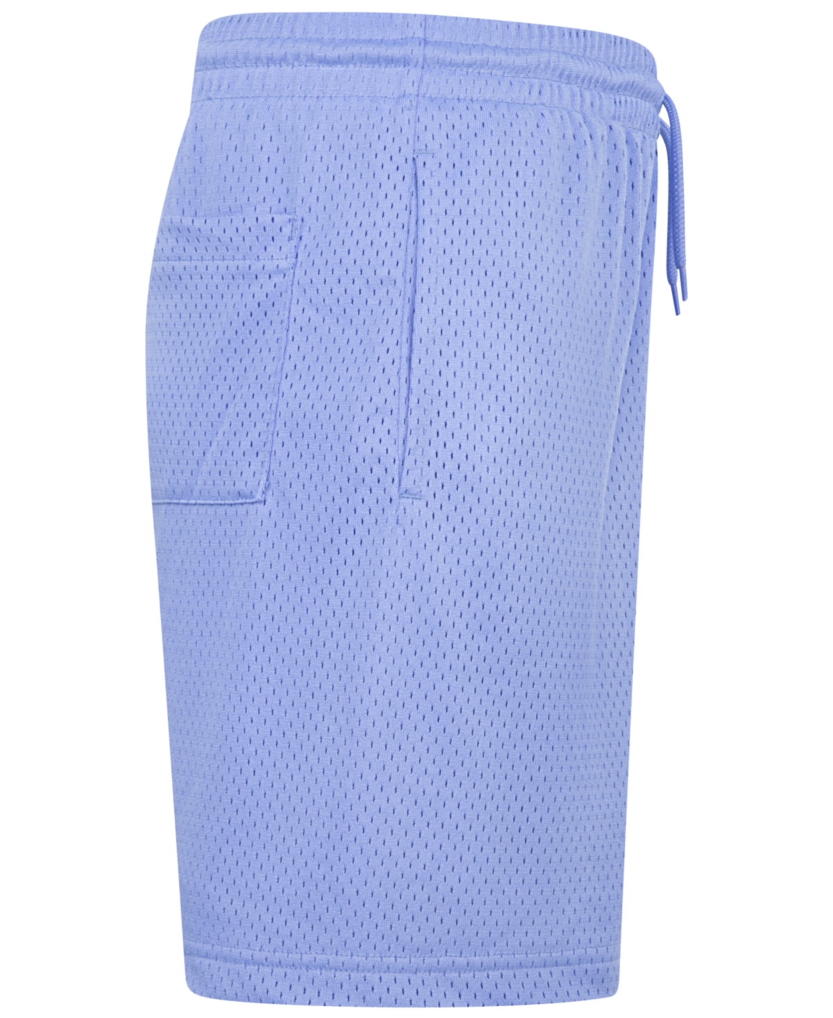 Jordan Big Boys Mj Baseline Mesh Shorts In Royal Pulse