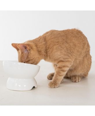 Elevated Cat Bowl: White