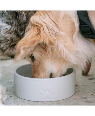 50oz Dog Bowl: White