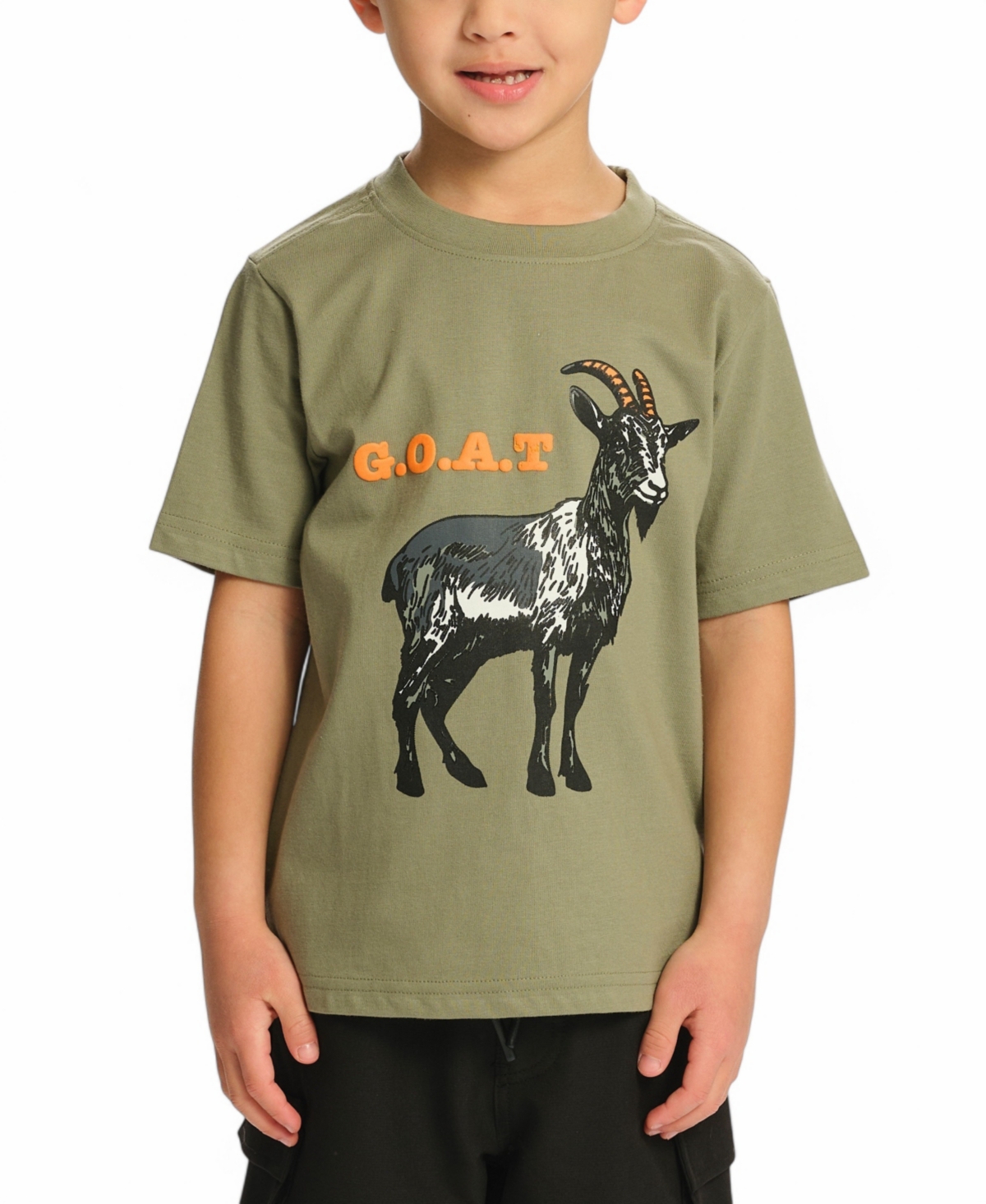 Sovereign Code Big Boys Short Sleeve T-shirt In Sage