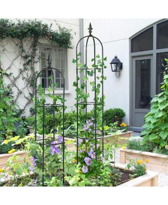 Garden Obelisk Trellis for Climbing Plants and Elegant Outdoor Decor