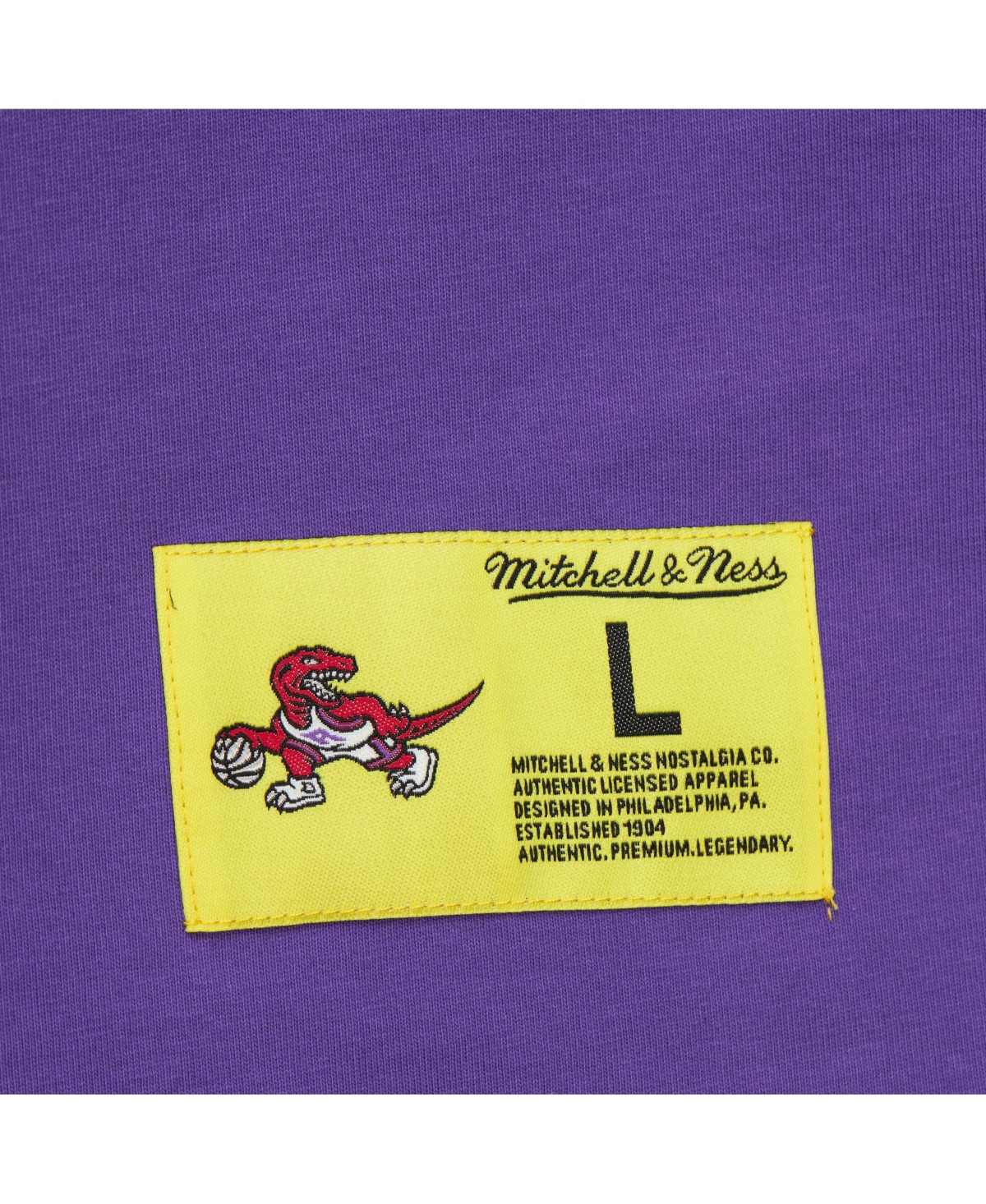 Mitchell & Ness Men's Raptors Purple Toronto Raptors Hardwood Classics Neon Nights Premium T-shirt In Purple