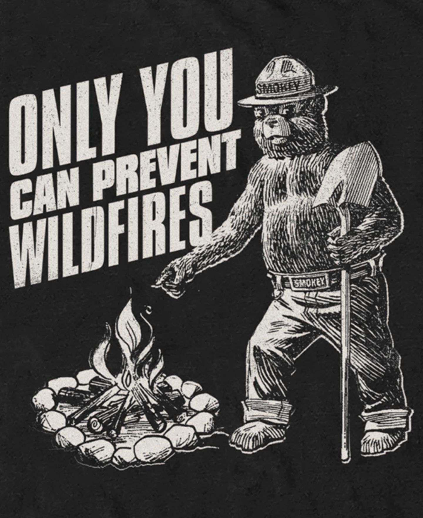Мужская футболка Fifth Sun Prevent Wildfires Point Short Sleeve, цвет: Чёрный — фото 3