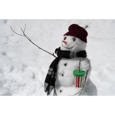 Straw Tumbler 16 oz: 4 pk - Peppermint, Poinsettia, Classic Red, Classic Green