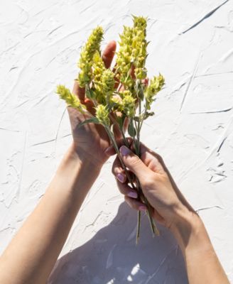 Olympus Tea Oil Balancing Cleansing Gel, 6.76 oz.