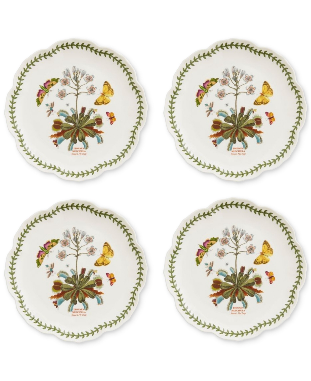 Botanic Garden Lotus Blossom Salad Plates, Set of 4 - White