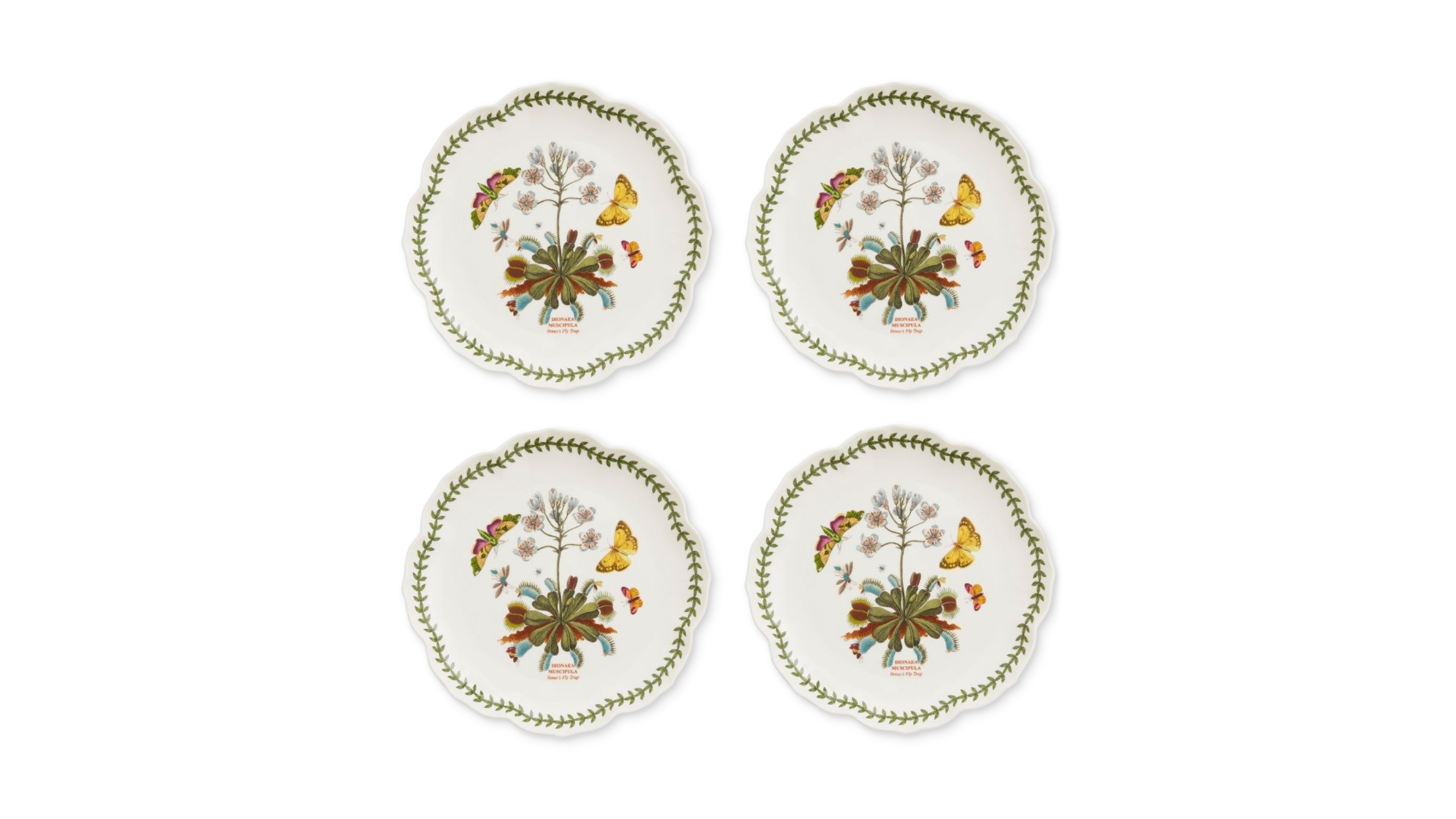Portmeirion Botanic Garden Lotus Blossom Salad Plates, Set of 4
