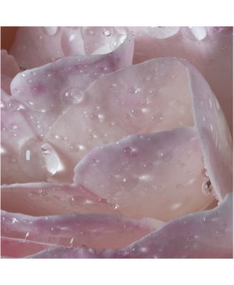 L'eau &Agrave; la Rose Eau de Toilette Spray, 1.2 oz.