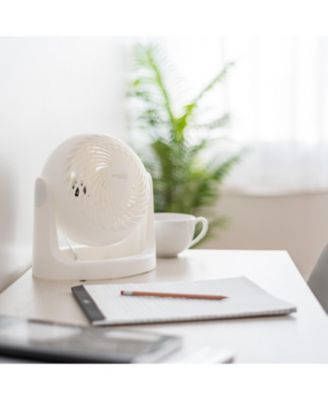 WOOZOO Circulator Fan, 5.5" Blade, White