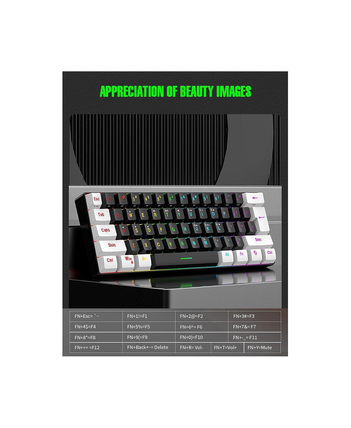 60% wired Gaming keyboard, RGB backlit ultra-small keyboard, waterproof portable, computer/MAC game keyboard (Black)