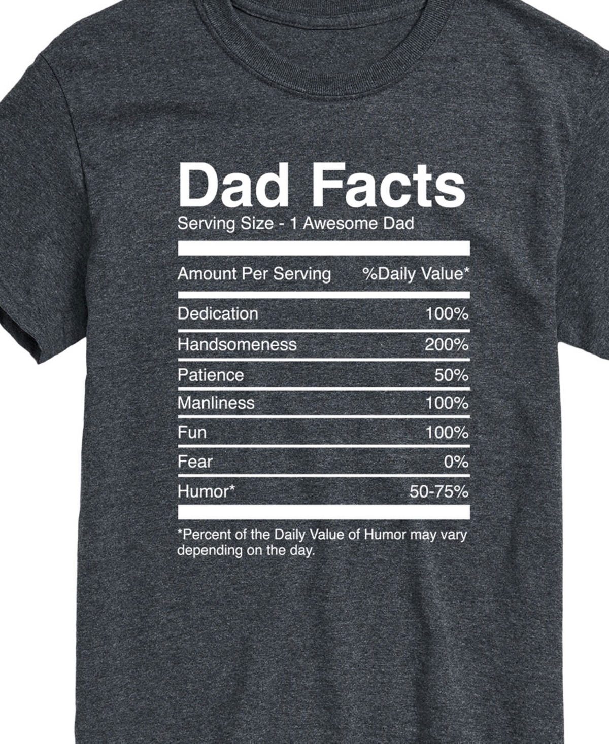 Airwaves Men's Dad Facts Short Sleeve T-shirt In Gray
