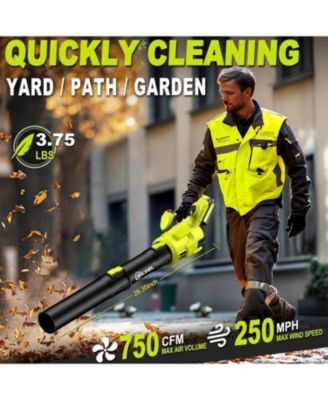Leaf Blower Cordless, 750CFM/250MPH, 2 x 24V 6.0Ah Battery Powered Brushless Leaf Blower, Variable Speed Snow Blower for Lawn, Yard, Garage