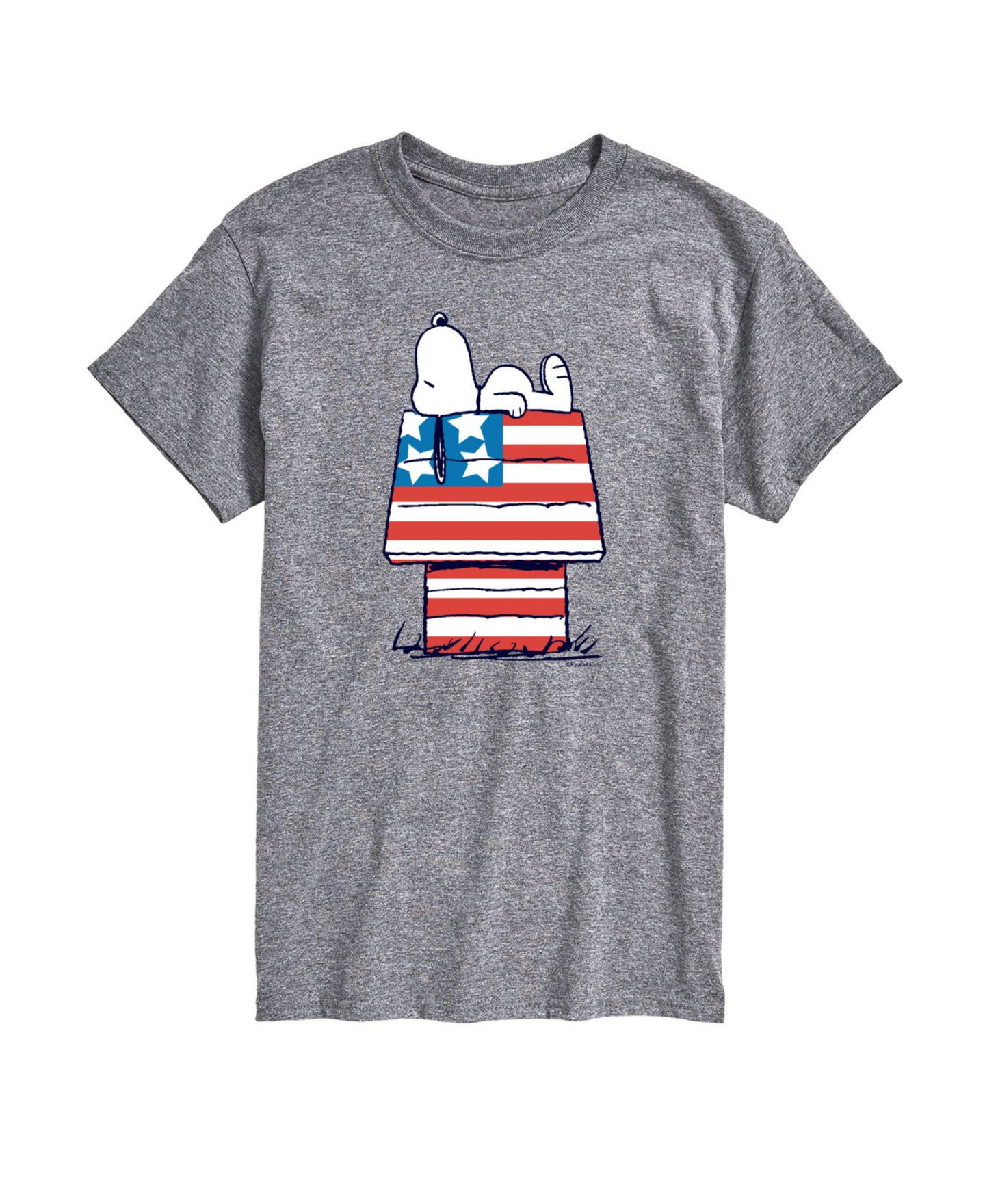 Мужская футболка AIRWAVES Peanuts Snoopy Flag House Short Sleeve, цвет: Серый — фото 1