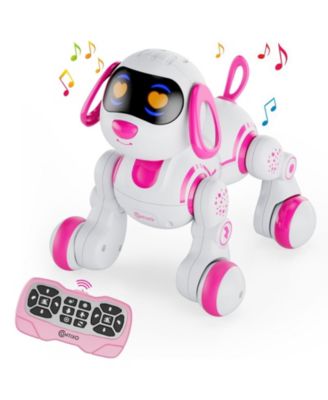 R3 Smart Puppy, Kids & Toddlers Ages 3-8, Interactive Learning Robot Dog Toy, Remote Control, Lights & Sounds, Boys & Girls