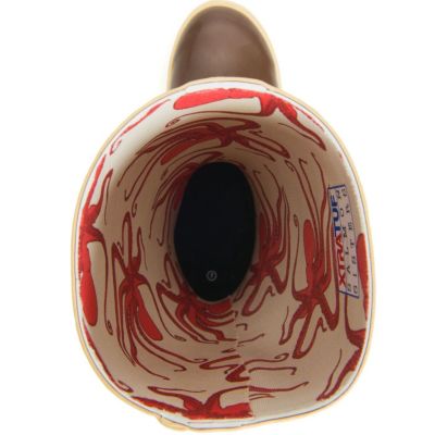 Women's Salmon Sisters 15 in Legacy Boot