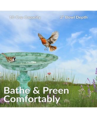 Backyard Beauty Cast Aluminum Metal Bird Bath