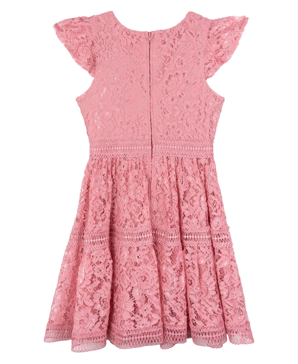 Rare Editions Big Girls Lace Party Dress