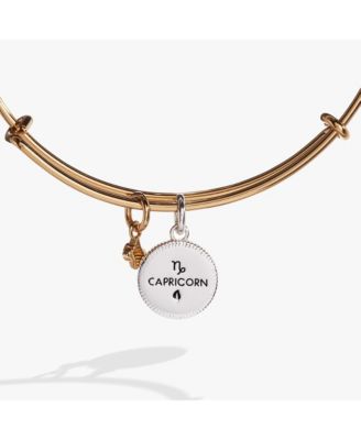 Zodiac Bangle Bracelet Capricorn
