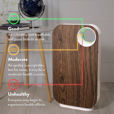 OVAL AIR H13 HEPA 5-in-1, 600 sq. ft. Coverage – Reduces Allergies Air Purifier