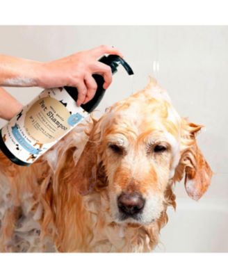 Precious Tails Aloe & Vitamin E Extra Gentle Pet Shampoo 32 fl oz, Dye Free