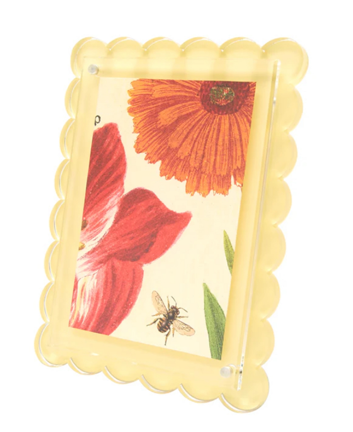 TARA WILSON DESIGNS SCALLOP FRAME, 4" X 6", 5" X 7" 