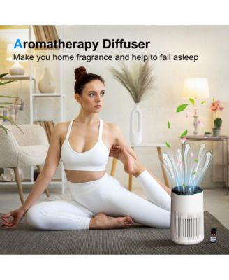 HEPA Air Purifier for Bedroom Home, With Essential Oil Diffuser, Sleep Mode, Up to 225 Sqft 2 Pack