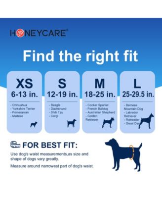 Paw & Dog Bone Print All-Absorb A24 Male Dog Wrap, Large, 100ct