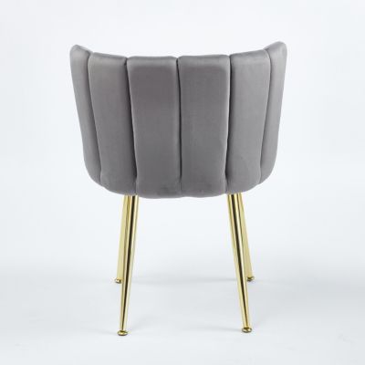 Streamdale Modern Velvet Dining Chair (Set of 2) with Golden Legs