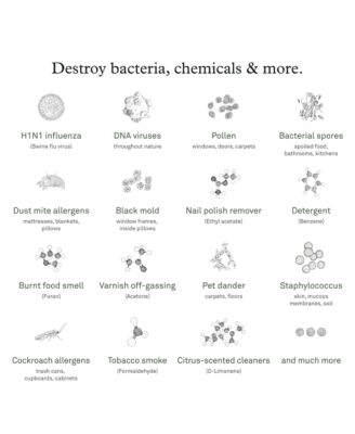 Air Pro with PECO-HEPA Tri Power Filter