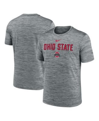 Nike - Men's Charcoal Ohio State Buckeyes 2025 Sideline Velocity Performance T-Shirt