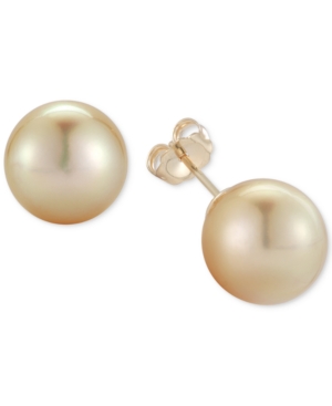 image of Cultured Golden South Sea Pearl (11mm) Stud Earrings in 14k Gold